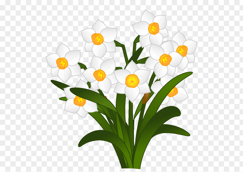 Flower Cut Flowers Bunch-flowered Daffodil Clip Art PNG