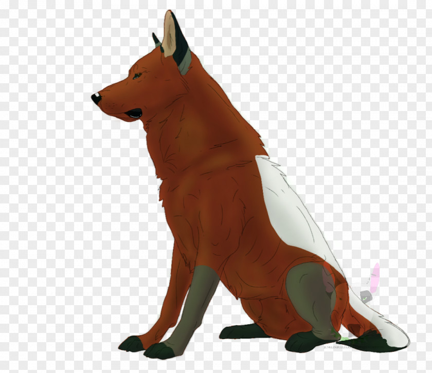 Pit Bull Dog Breed Red Fox Snout PNG