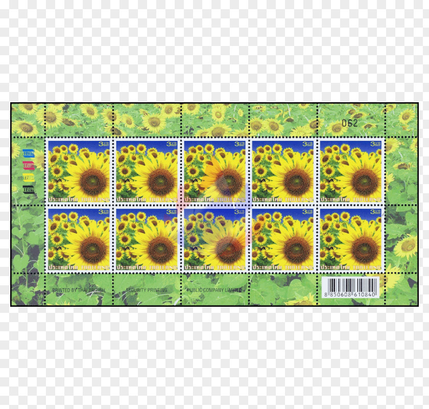 Songkran Common Sunflower Postage Stamps Definitive Stamp Seed Daisy Family PNG