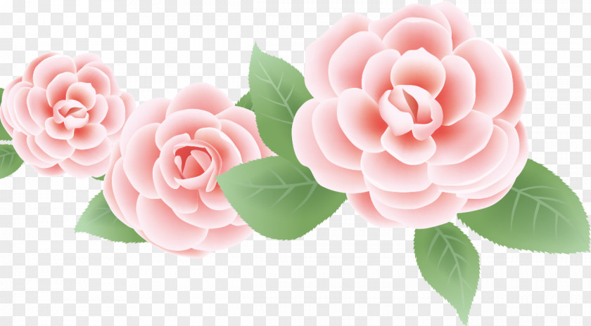 Three Flowers Roses Valentines Day PNG