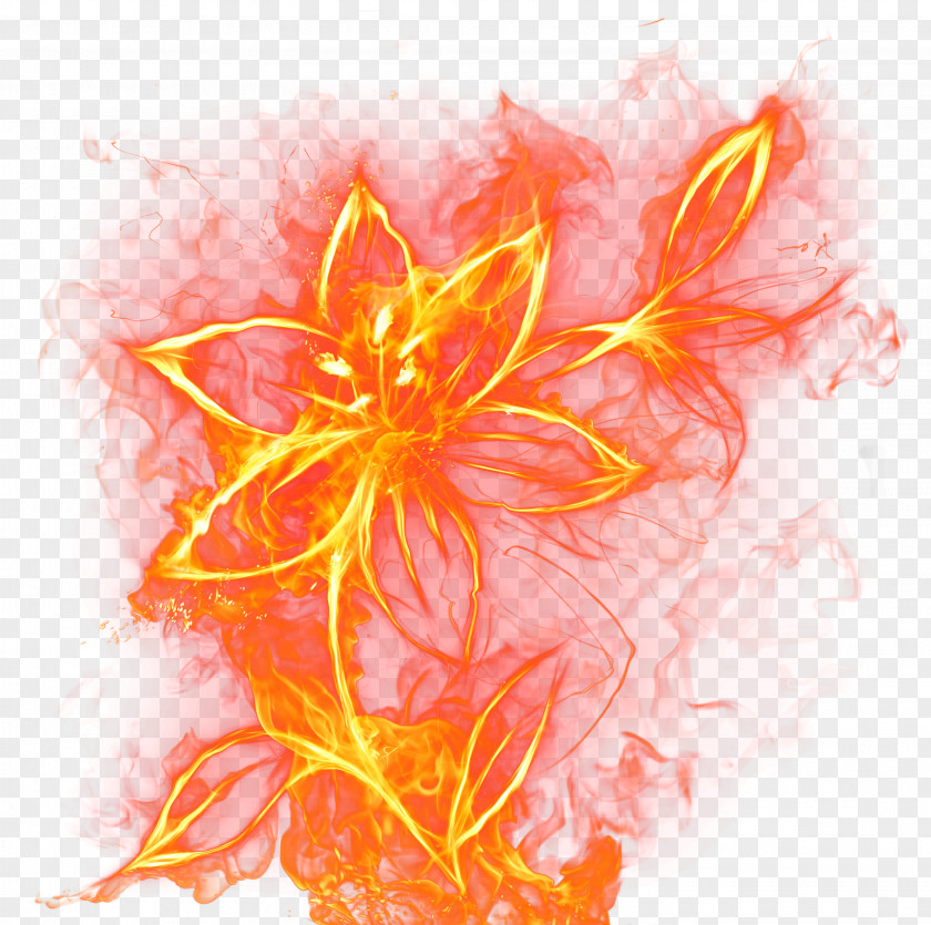 Beautiful Fire Flower Clipart Picture Mario PNG