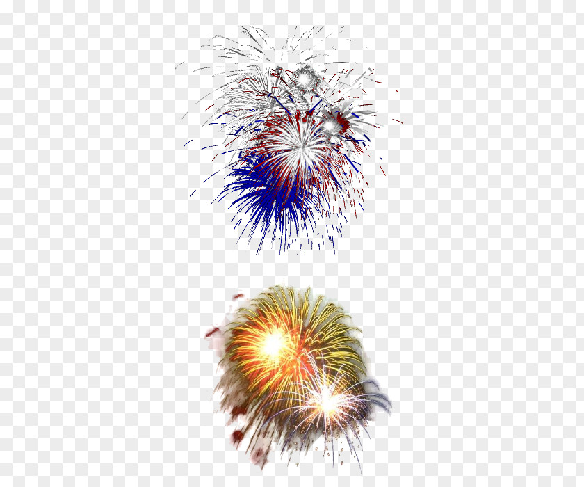 Fireworks Artificier Party PNG