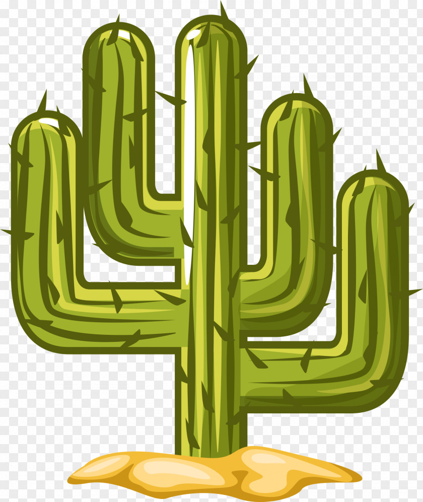 Floral Design Cactus. Piante Grasse Succulent Plant Plants Green Illustration PNG