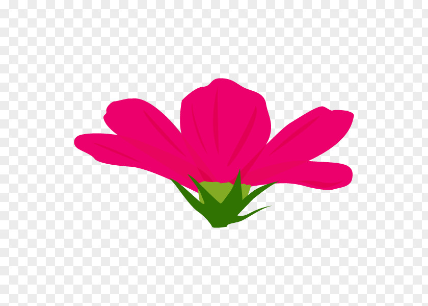 Flowering Plant Clip Art Herbaceous Stem Pink M PNG