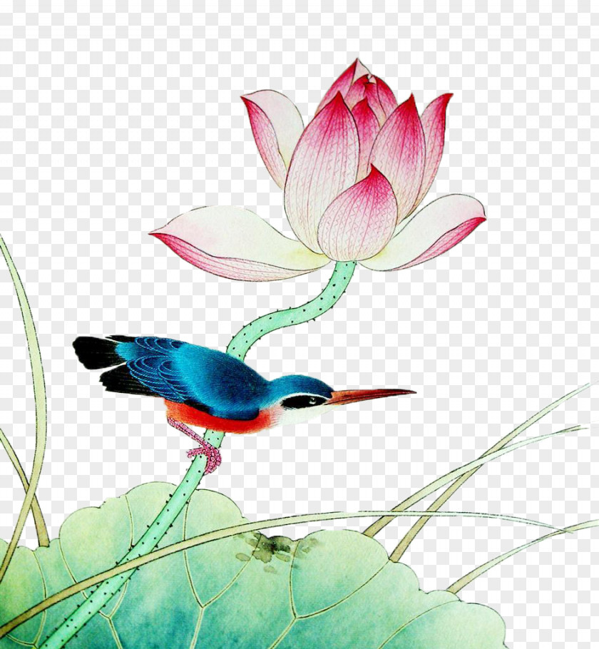 Hand-painted Lotus Gongbi Chinese Painting Nelumbo Nucifera Ink Wash Bird-and-flower PNG