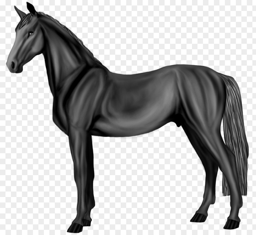 Mustang Mane Akhal-Teke Pony Grayscale PNG