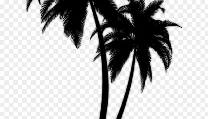 Palm Tree Clip Art Silhouette Trees Transparency Vector Graphics PNG