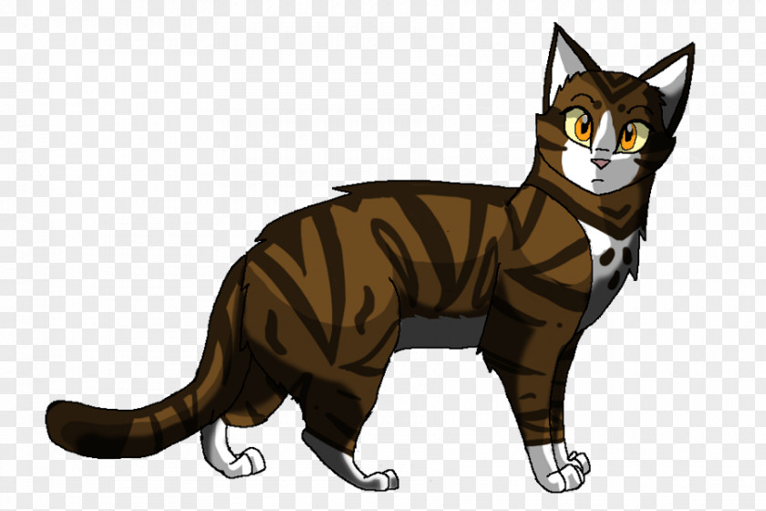 Paw Prints Cat Leafpool Warriors Jayfeather Squirrelflight PNG