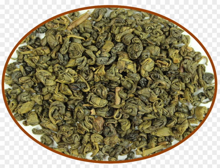 Tea Biluochun Nilgiri Gunpowder Oolong PNG