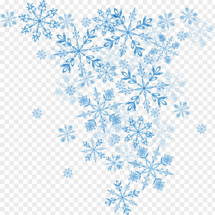 Vector Blue Snowflake Winter Euclidean Christmas PNG