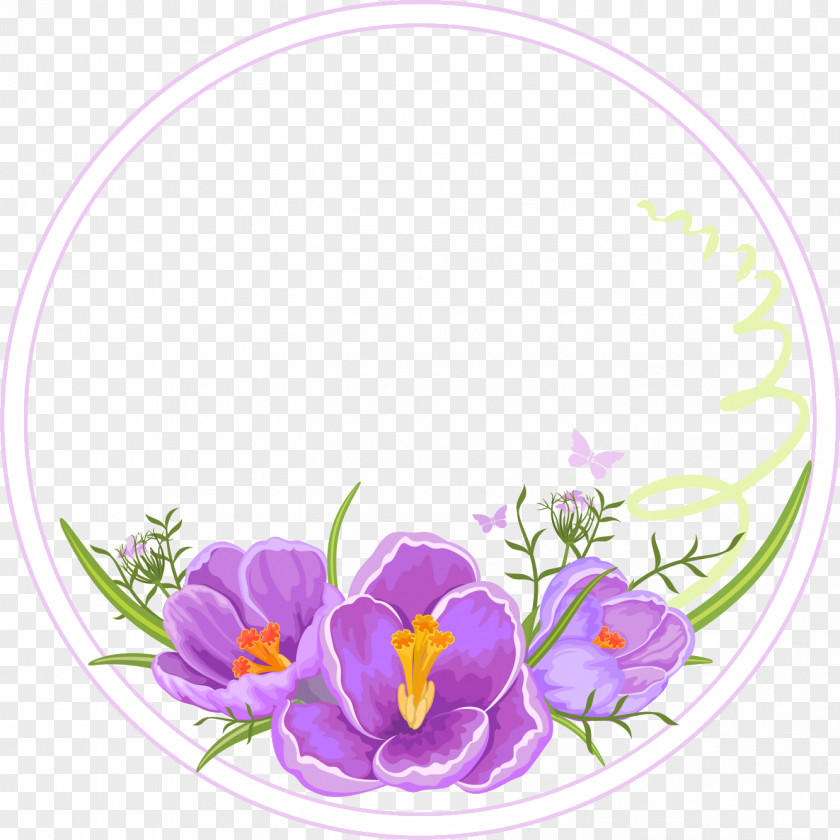 Crocuses Floral Design PNG