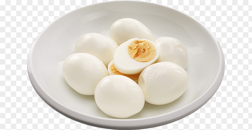 Egg Hard-boiled Breakfast Chicken PNG