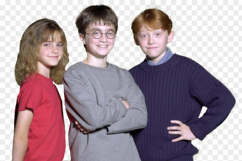 Harry Potter Hermione Granger Ron Weasley And The Philosopher's Stone Film PNG