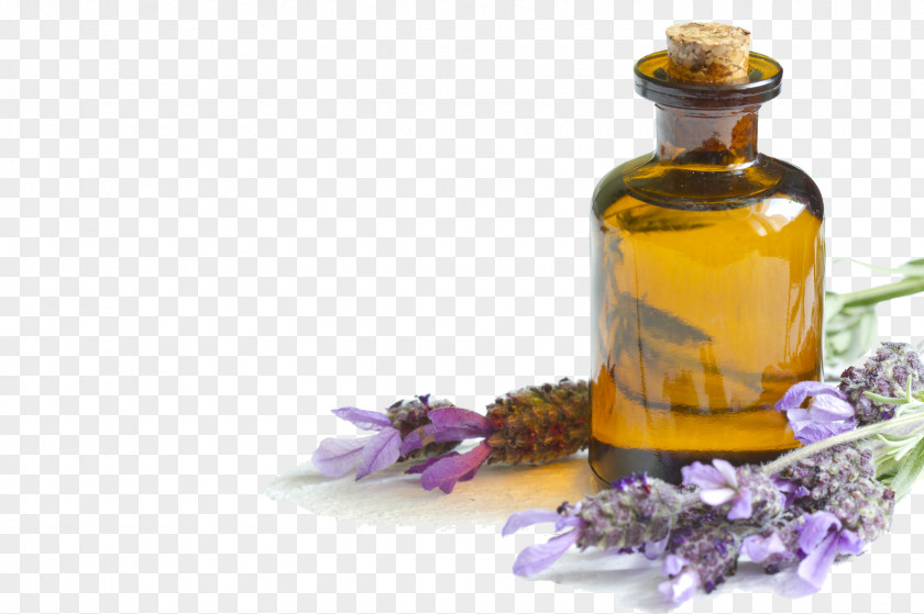 Lavendar Lavender Oil Essential Skin PNG