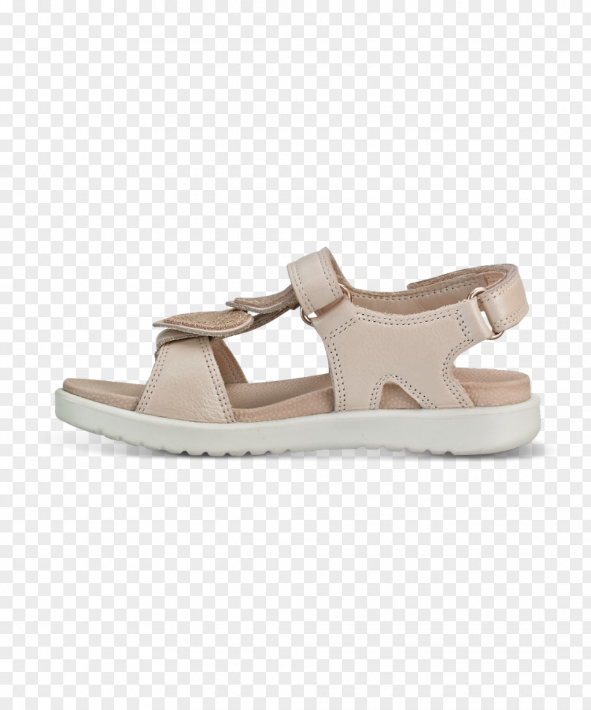 Sandal Slide Shoe Beige Walking PNG