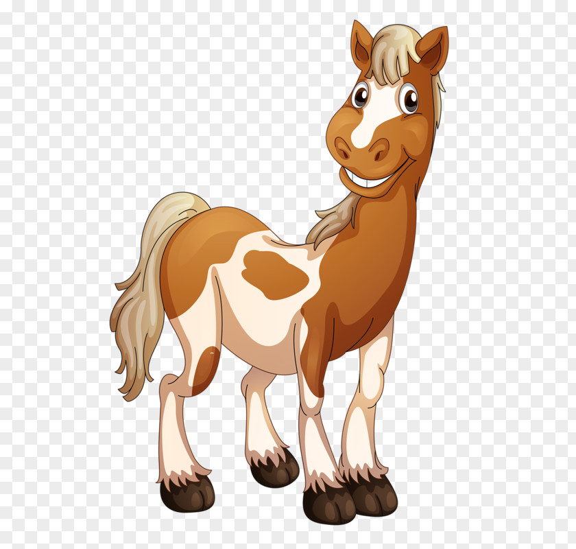 Cartoon Horse Stock Illustration PNG