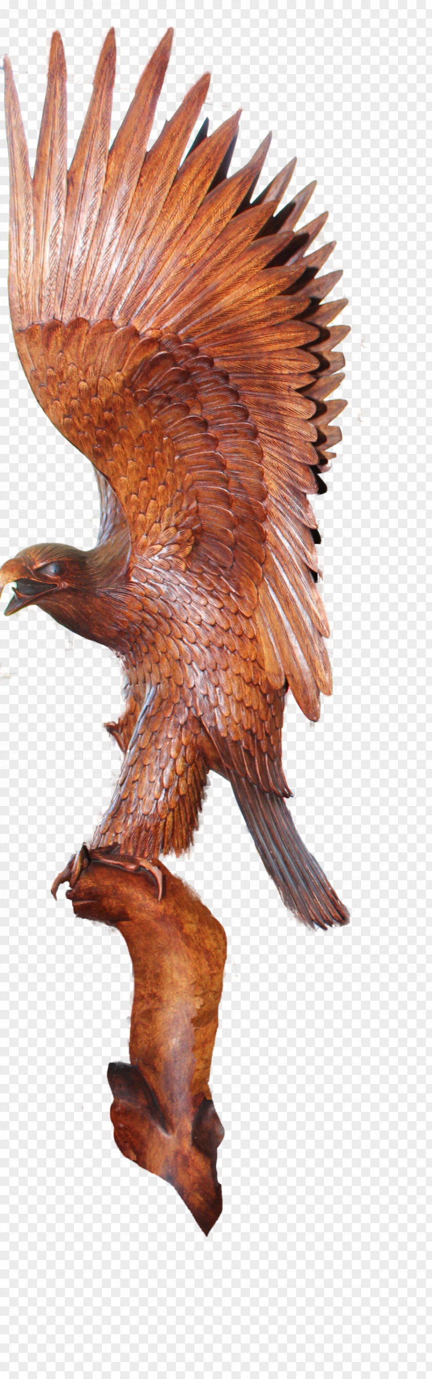 Carving Patterns Wood Sculpture Craft PNG