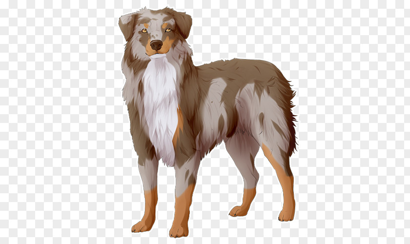 Duck Dog Breed Australian Shepherd Miniature American Nova Scotia Tolling Retriever Companion PNG