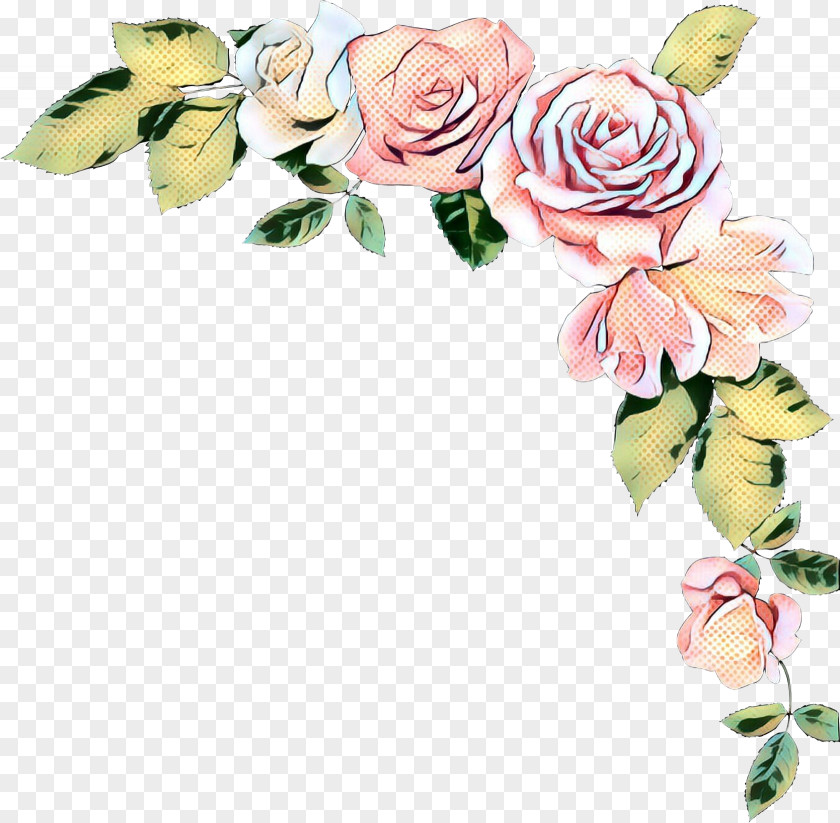 Garden Roses Cabbage Rose Cut Flowers Floral Design PNG