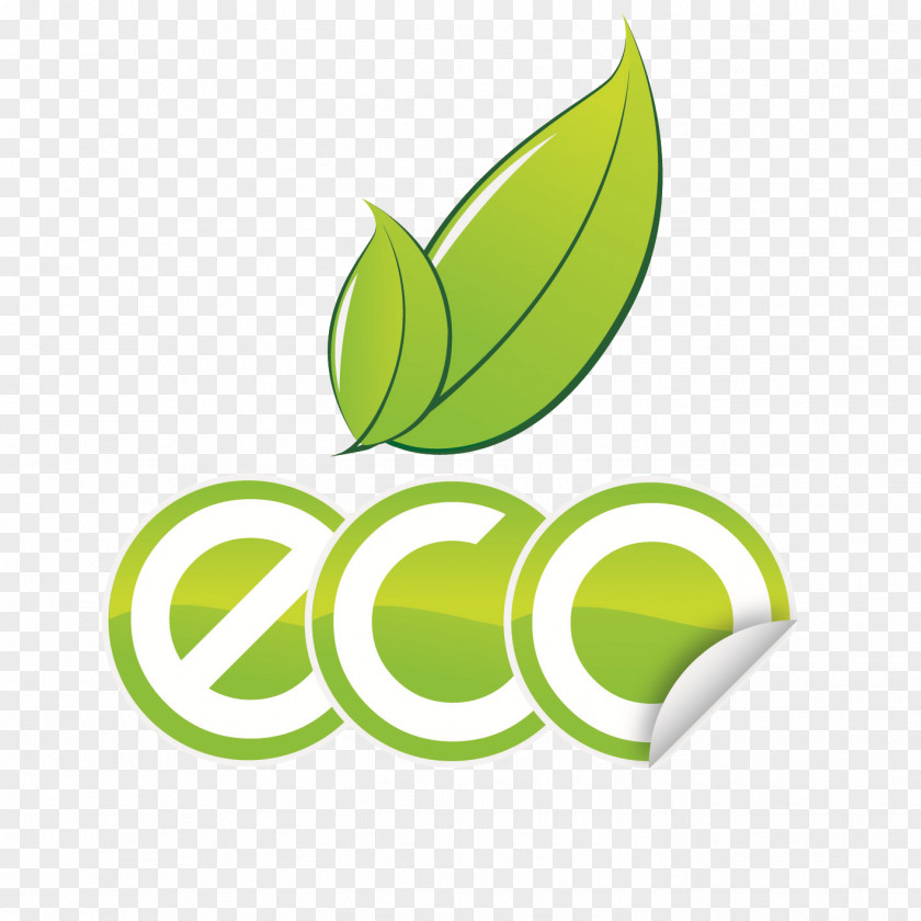 Natural Environment Environmentally Friendly Recycling Cleaning Business PNG