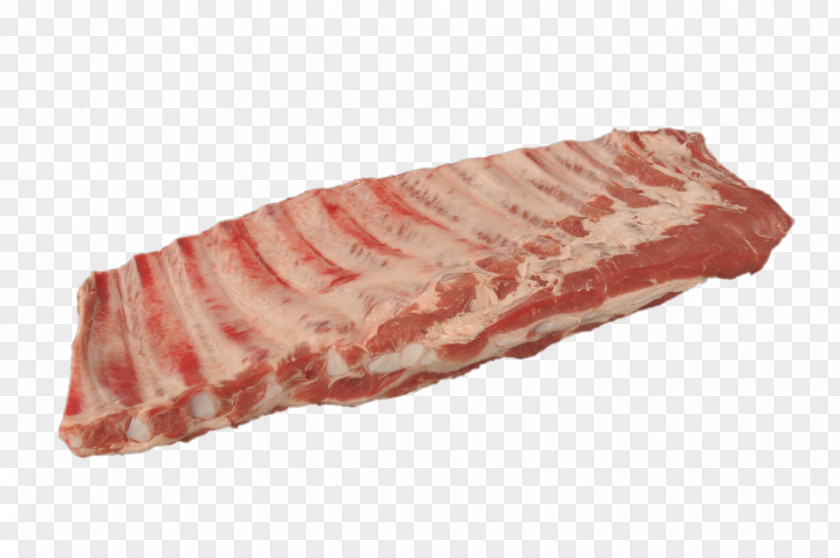 PORK RIB Spare Ribs Domestic Pig Pork Meat PNG