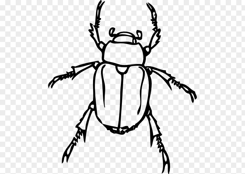 Beetle Cliparts Clip Art PNG