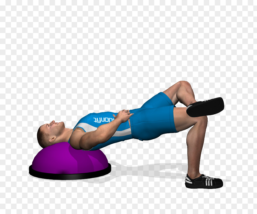 Bridge BOSU Toning Exercises Hamstring PNG