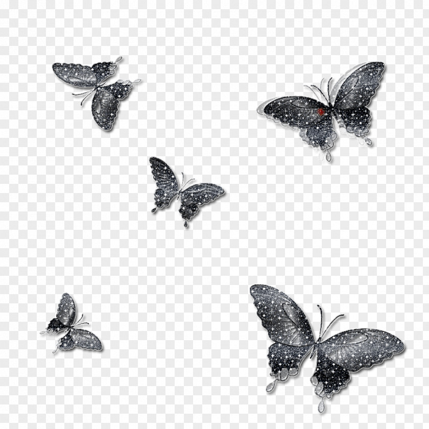 Butterfly Monarch Insect Moth Clip Art PNG