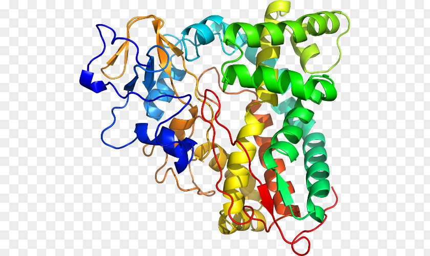 Cytochrome P450 Family 1 Member A1 Clip Art Organism Human Behavior Black PNG