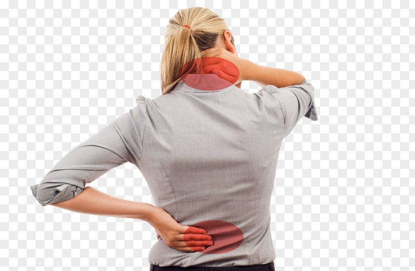 Low Back Pain Neck Sciatica Physical Therapy PNG