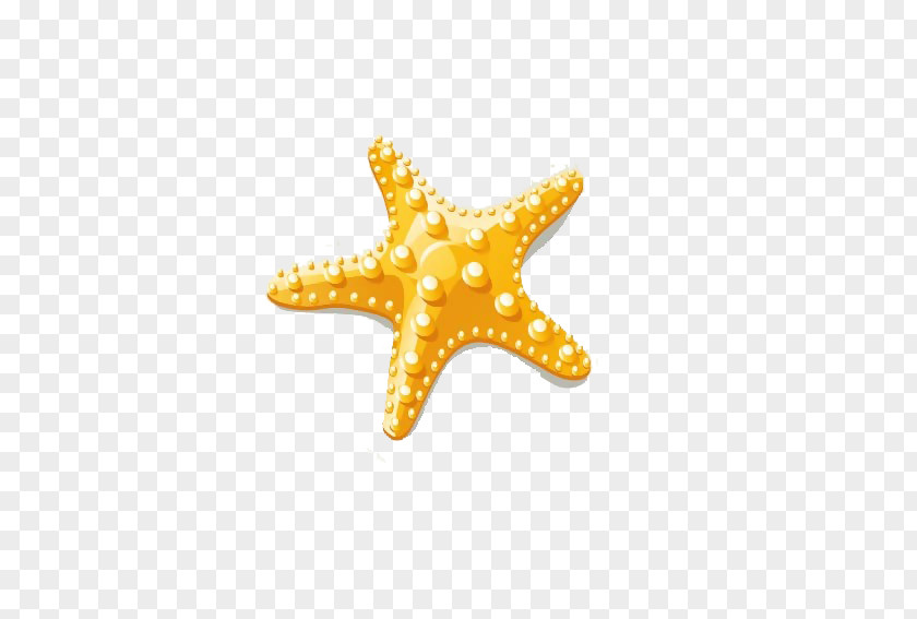 Starfish Euclidean Vector Clip Art PNG