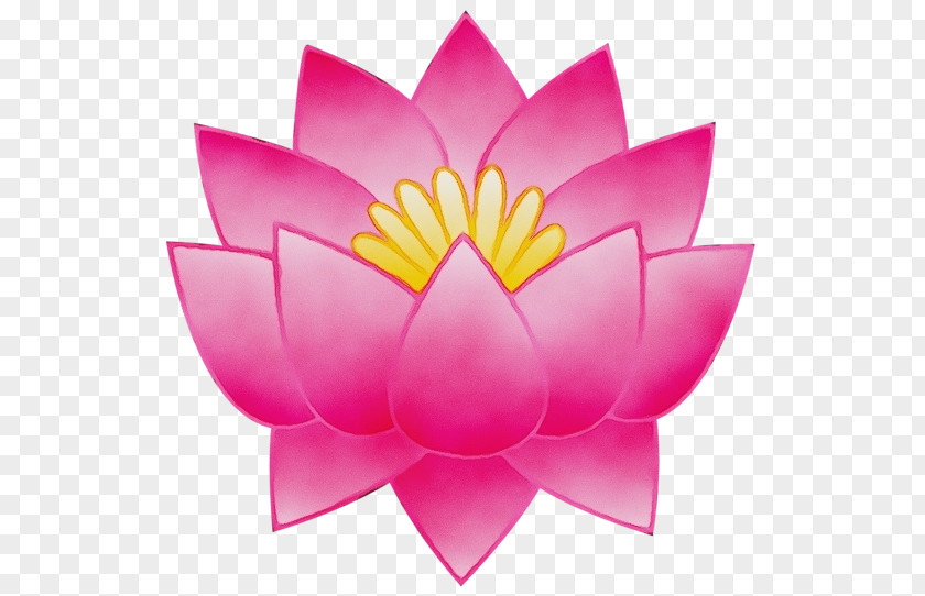 Wildflower Proteales Nymphaea Nelumbo Transparency Lotus Flower Collection PNG