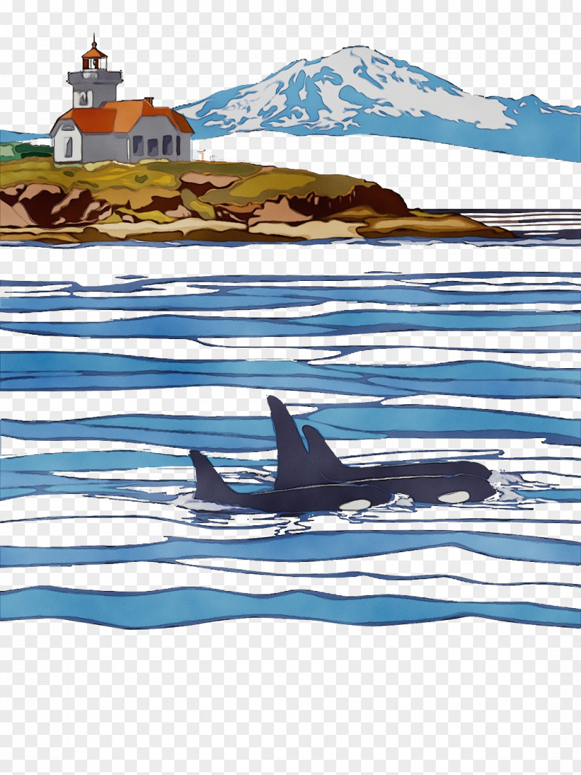 09738 Arctic Killer Whale Water Line PNG