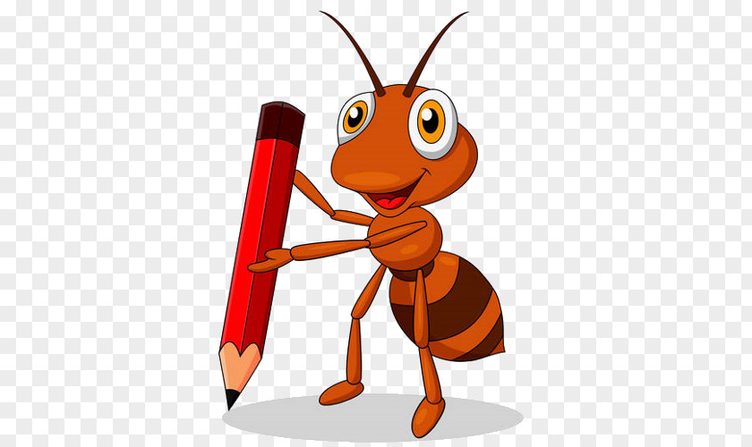 Ant Cartoon PNG