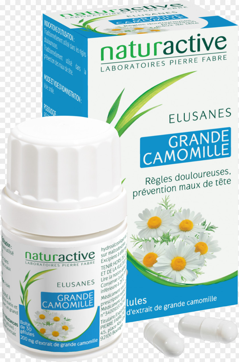 Camomille Dietary Supplement Vitamin Pharmacy Health Gélule PNG