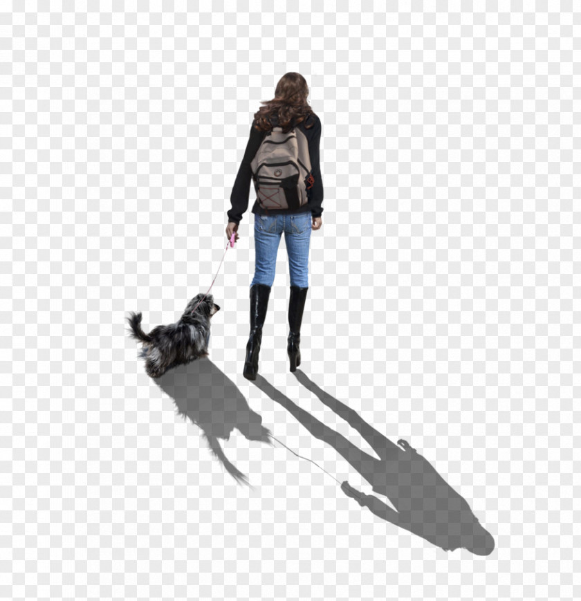 Figure Dog Desktop Wallpaper DeviantArt PNG