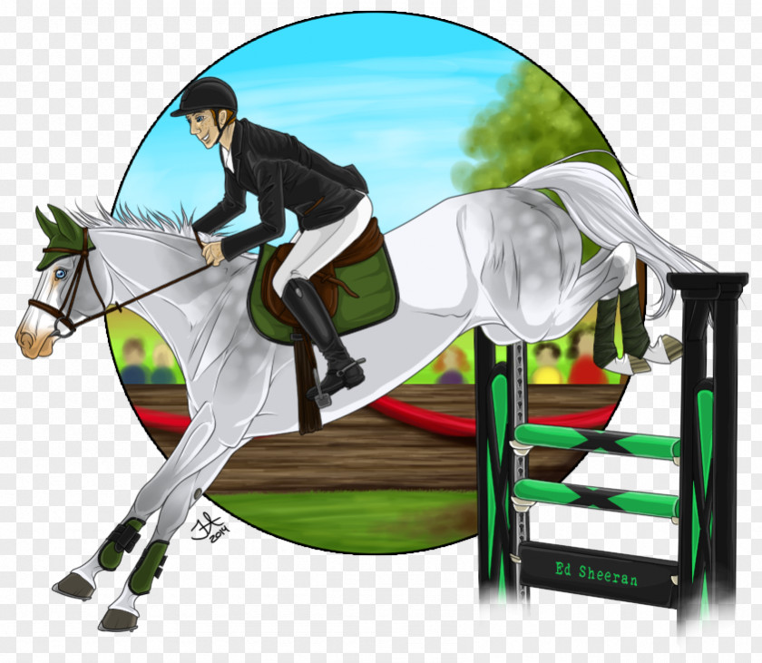 Mustang Show Jumping Hunt Seat Rein Stallion Equitation PNG
