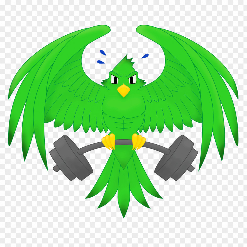 Parrot Macaw Clip Art Bird Illustration PNG