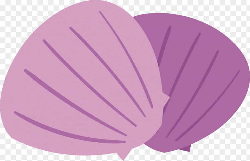 Purple Shell Vector Euclidean PNG