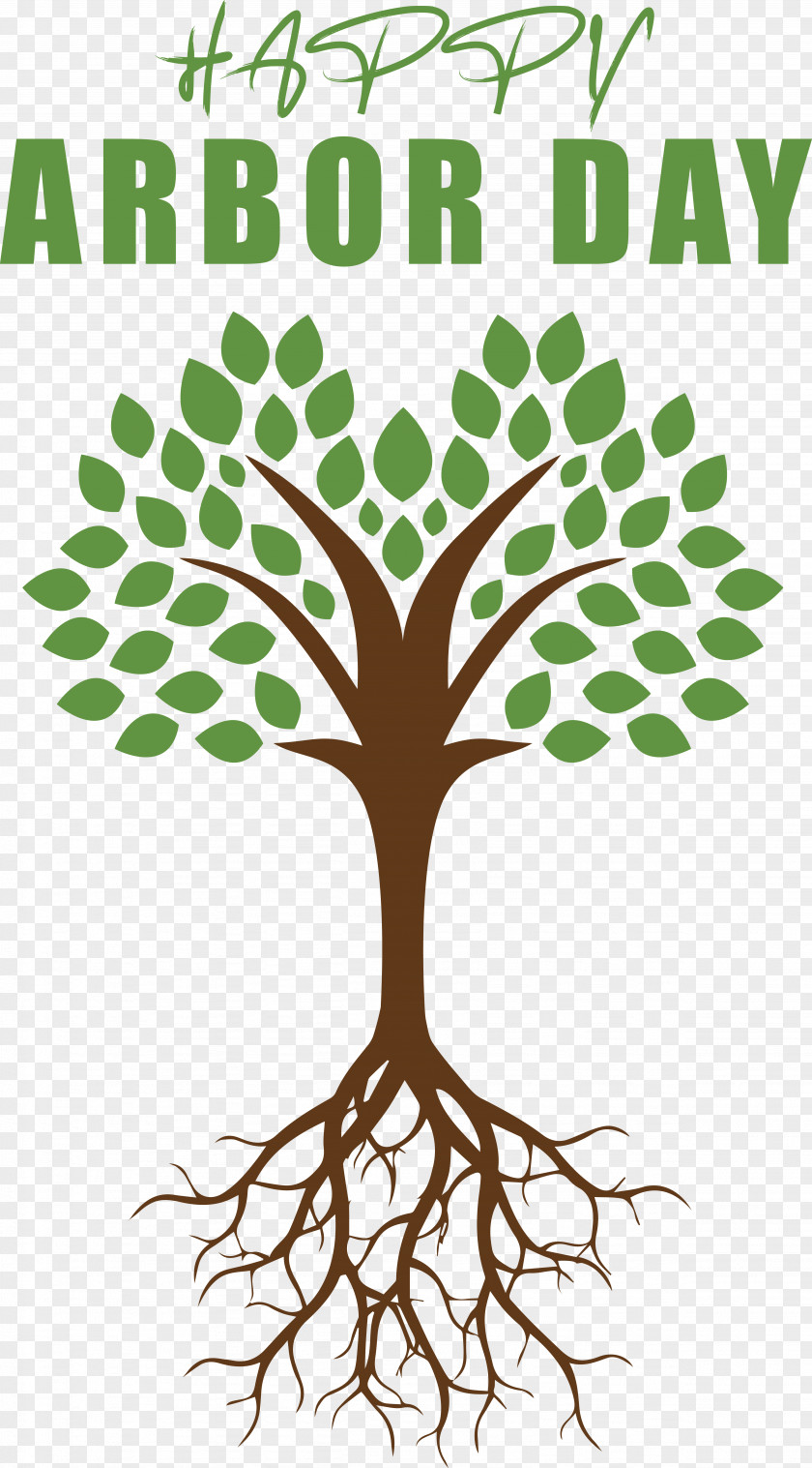Tree Branch Leaf Perennial Plant PNG
