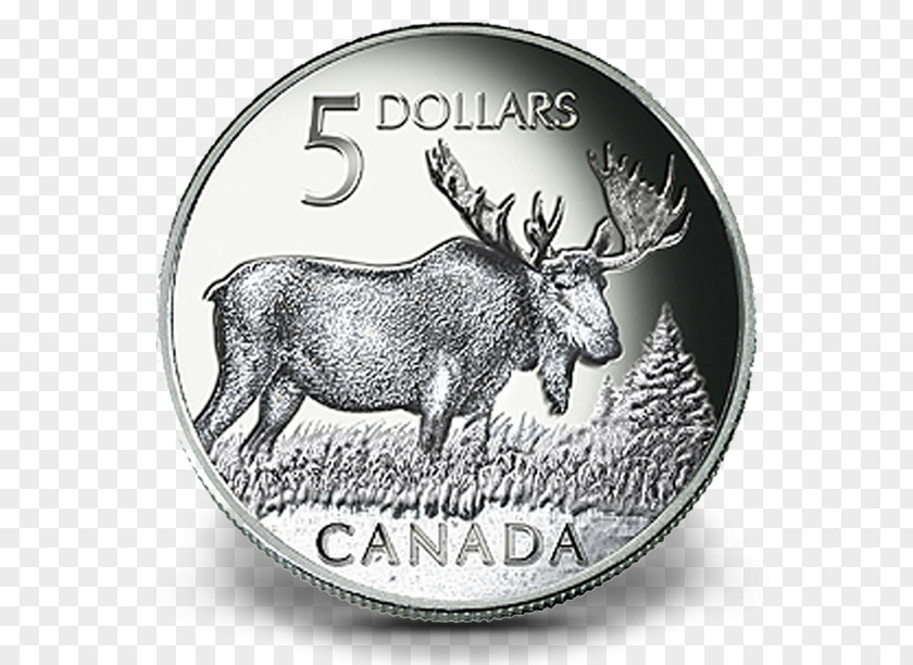 Canadian Dollar Deer Moose Elk Canada Coin PNG