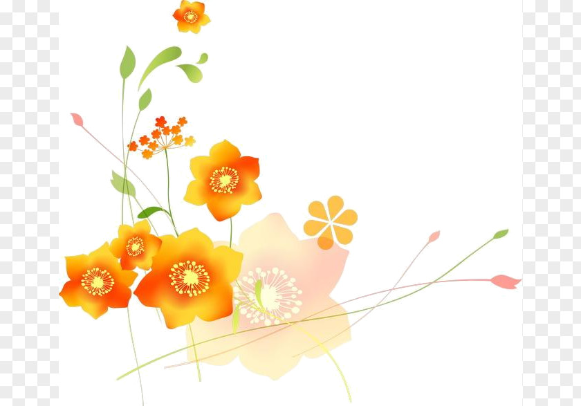 Floral Card PNG