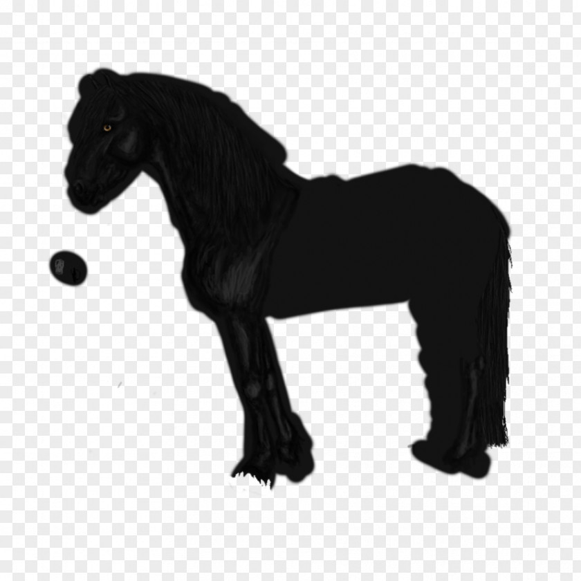 Friesian Horse Mane Mustang Pony Stallion Halter PNG