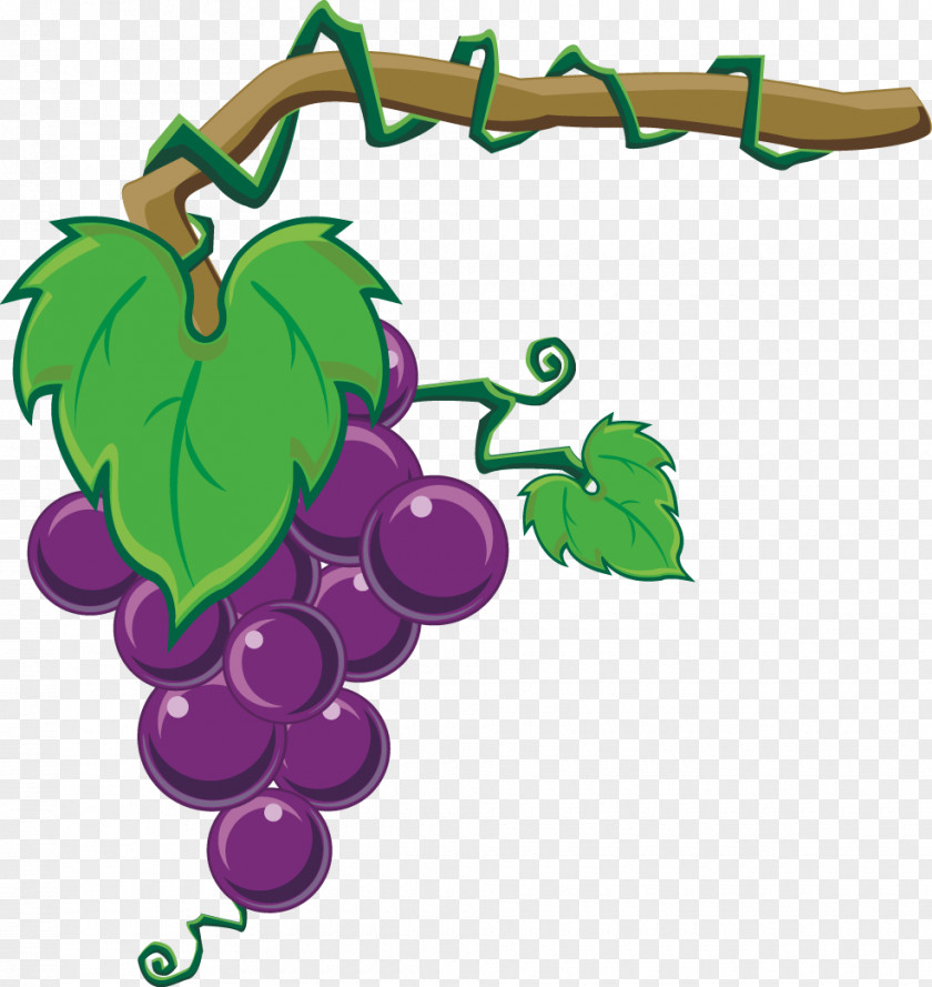 Grapes On Grape Wine Auglis Fruit Clip Art PNG