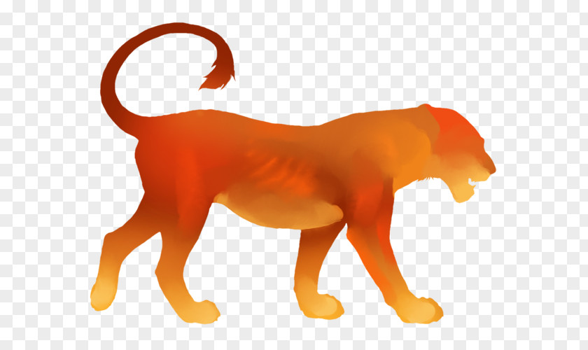Sunset Lion Big Cat Mammal Carnivora PNG