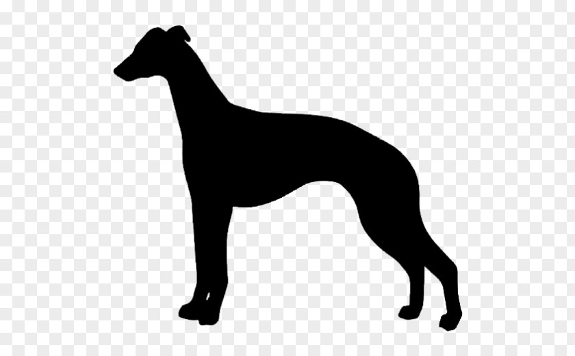 Whippet Saluki Greyhound Borzoi Rhodesian Ridgeback PNG