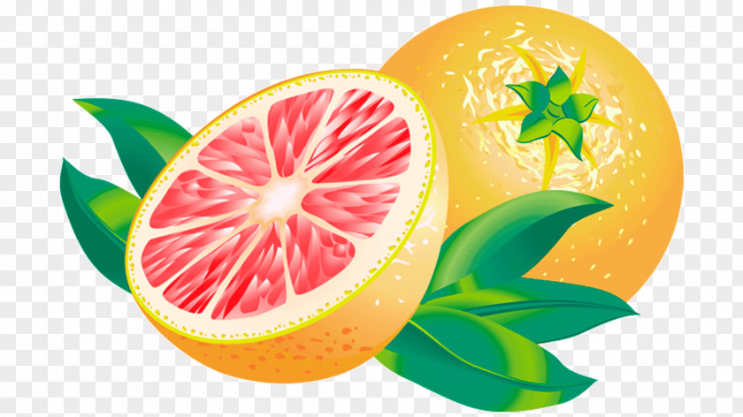 Grapefruit Blood Orange Juice Lemon Tangelo PNG