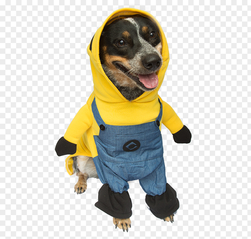 Pug Dog Dachshund Breed Clothing Stitch Halloween Costume PNG