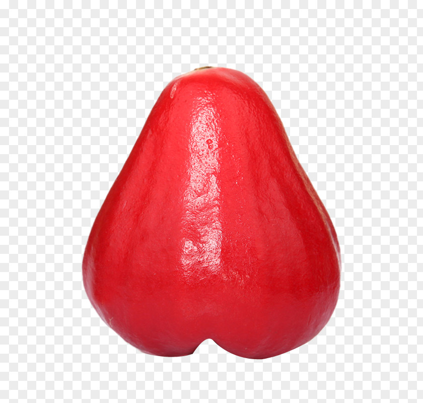 A Beautiful Wax Apple Fruit Java Red Download Clip Art PNG