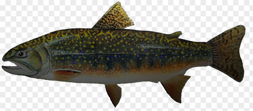 Golden Trout Salmon Sardine Cutthroat Cod PNG